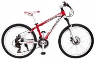 Lorak SHARK 24"