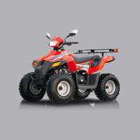 STELS ATV 110 D (603)